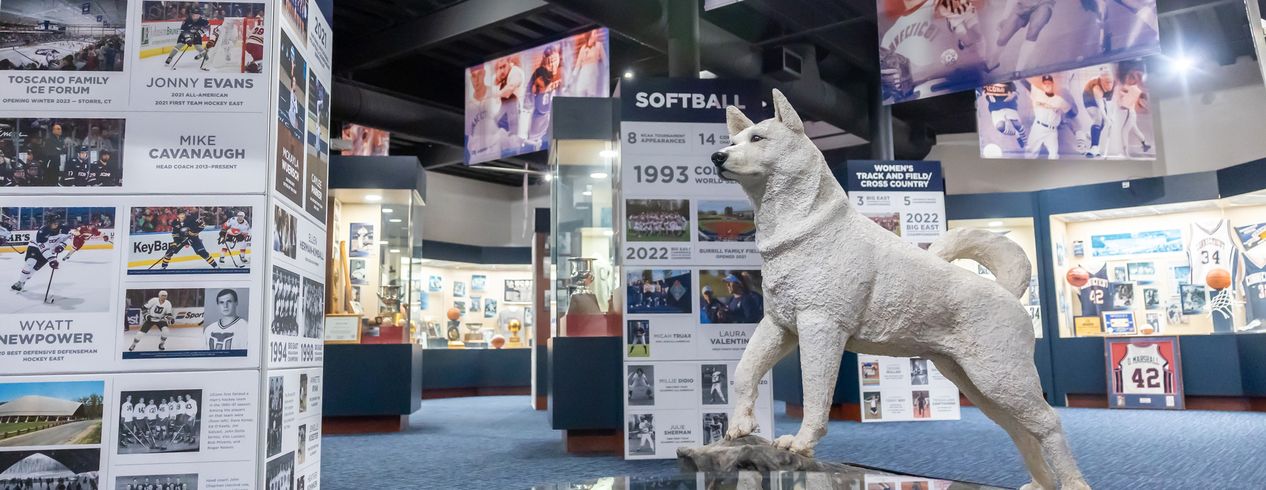 J. Robert Donnelly Husky Heritage Sports Museum at the Alumni Center 